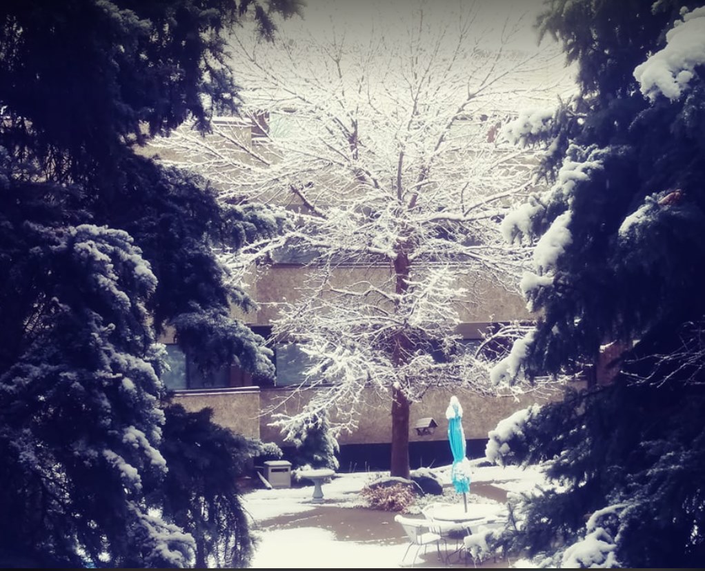 Day 23 - Winter Wonderland - Oct. 30 Day 23 - Winter Wonderland - Oct. 30