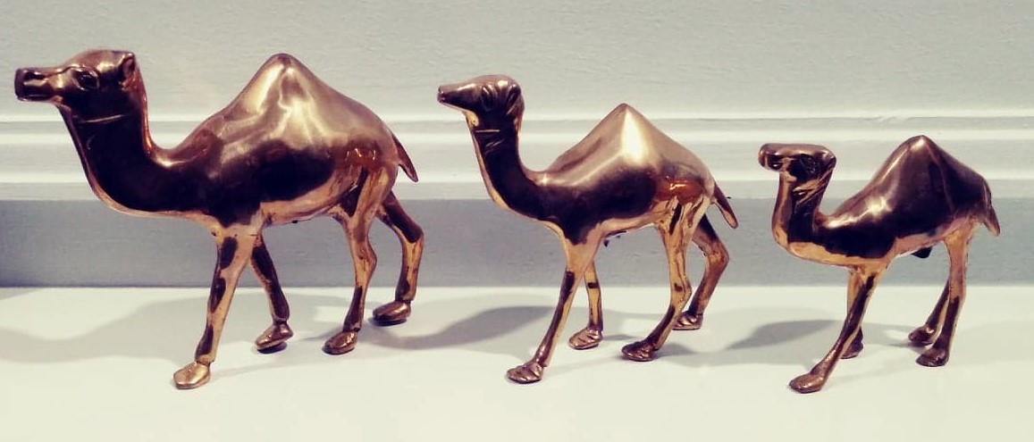 Day 157 - Camels (2) Day 157 - Camels (2)