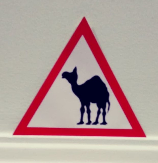 Day 167 - Camel Crossing (2)