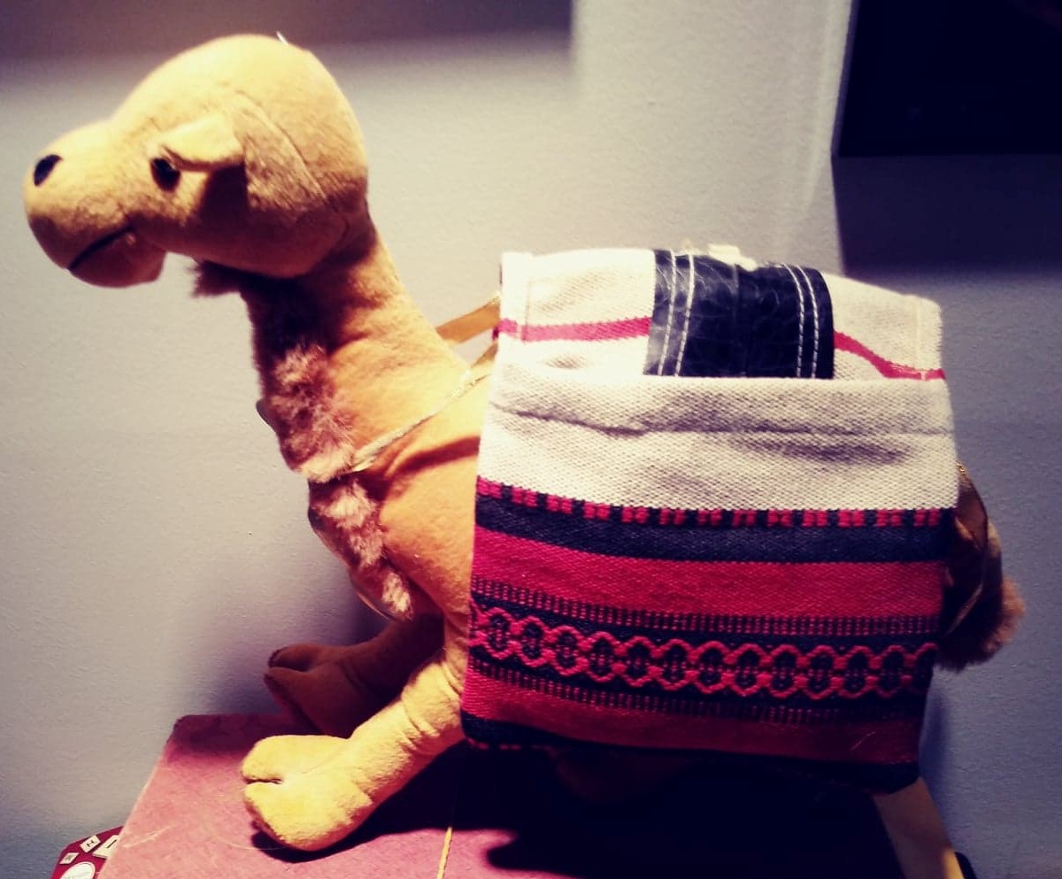 Day 178 - Saddle Bag (2)
