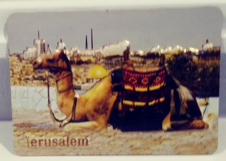 Day 179 - Camel in Jerusalem (2) Day 179 - Camel in Jerusalem (2)