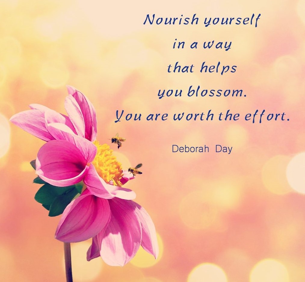 26. Nourish (2)
