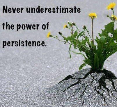 75. Persistance (2)