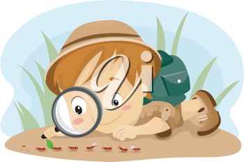 98. Boy looking at ants