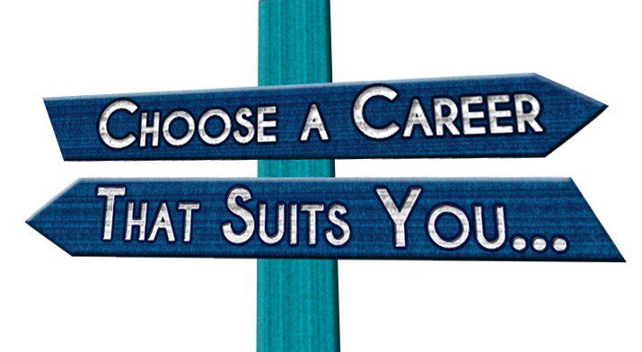 13. Career (2)