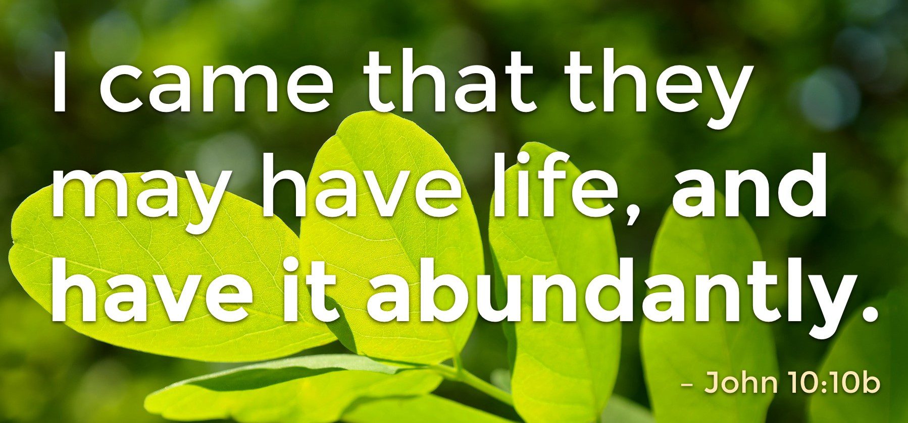 20. Living Life Abundantly (2)