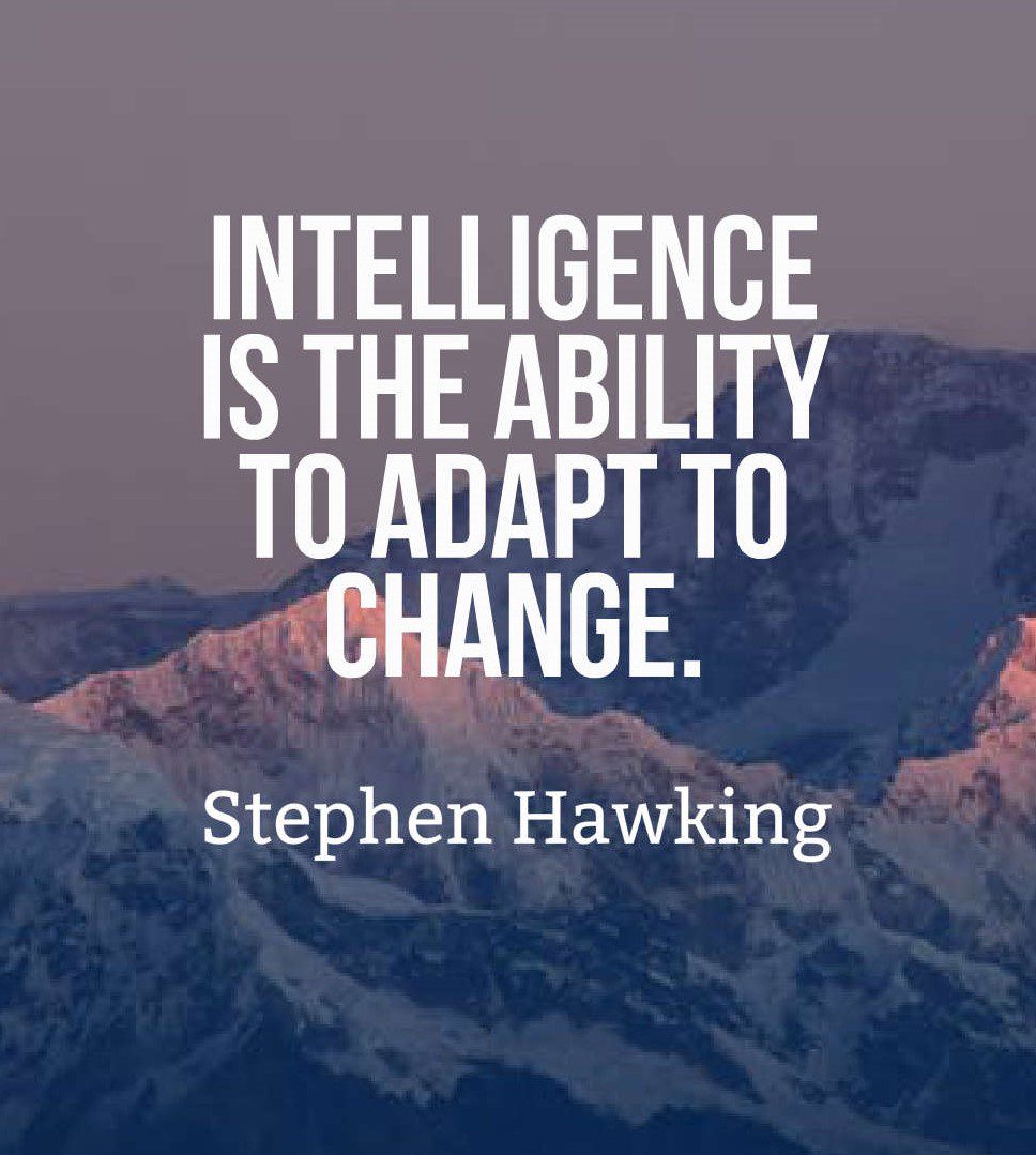 Adapt by Stephen Hawking (2)