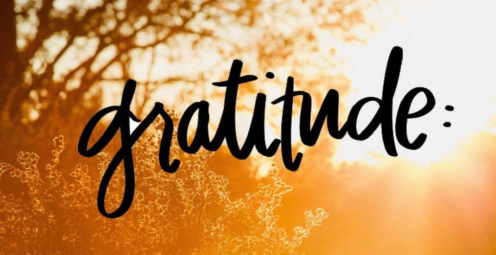 Gratitude (2)