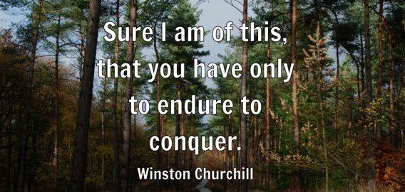 Winston Churchill (2)