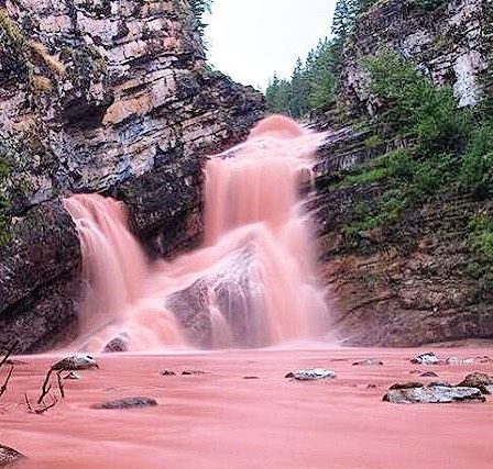 Pink - Cameron Falls (2) Pink - Cameron Falls (2)
