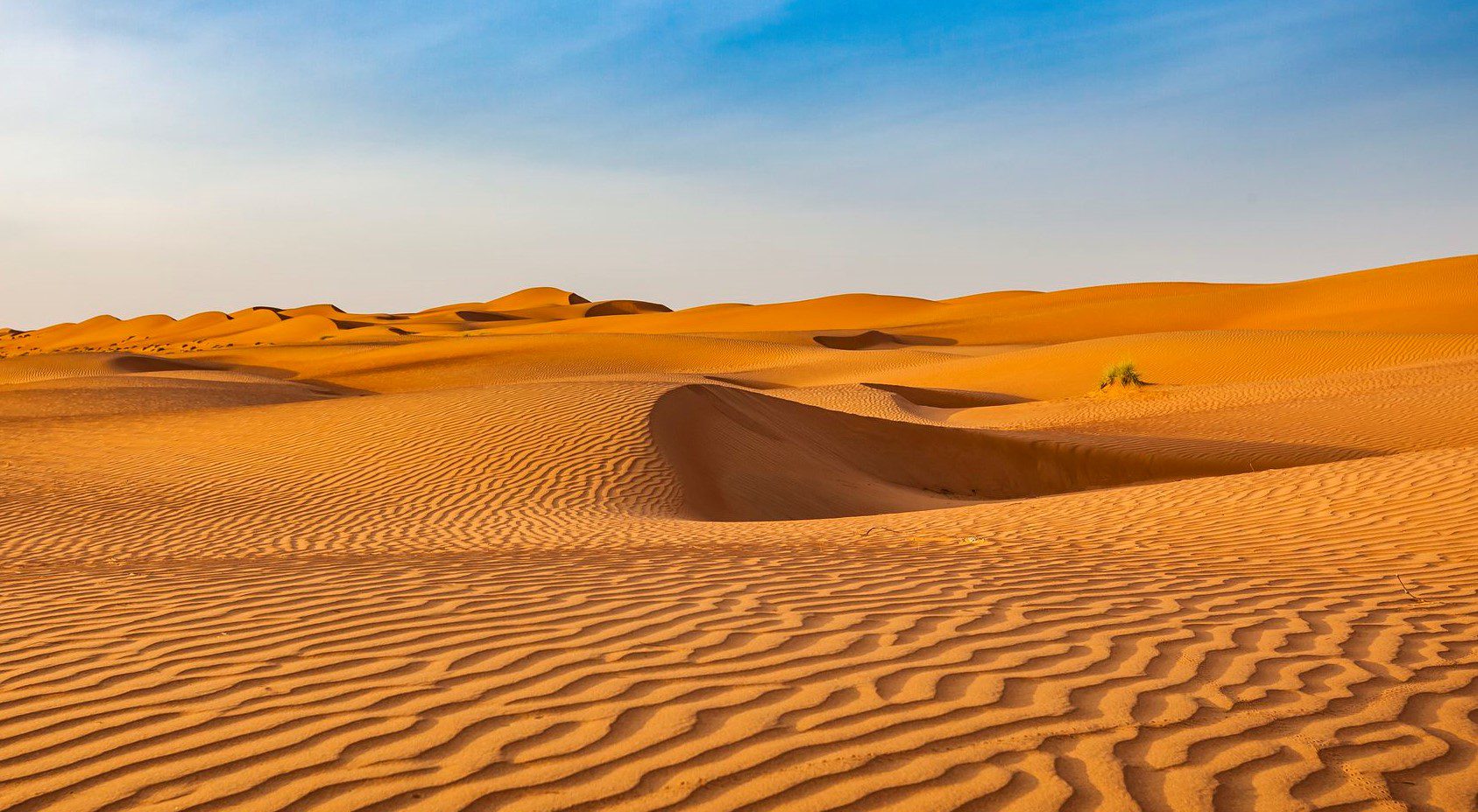 Desert (2)