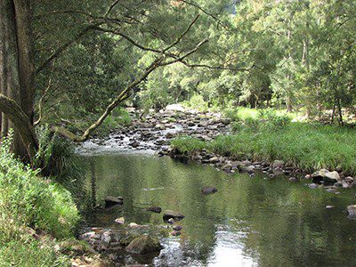 Wilderness Area (2) Wilderness Area (2)