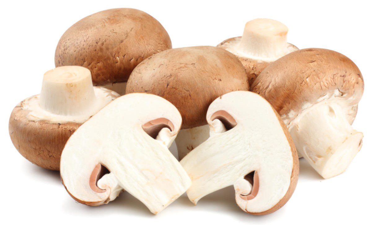 mushroom (2)