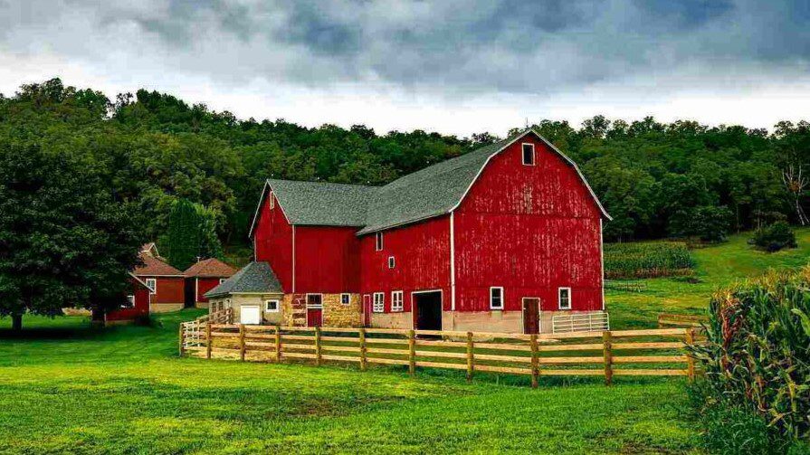 Barn Barn