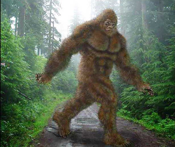 Bigfoot Bigfoot