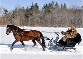 Jingle Bells - Sleigh