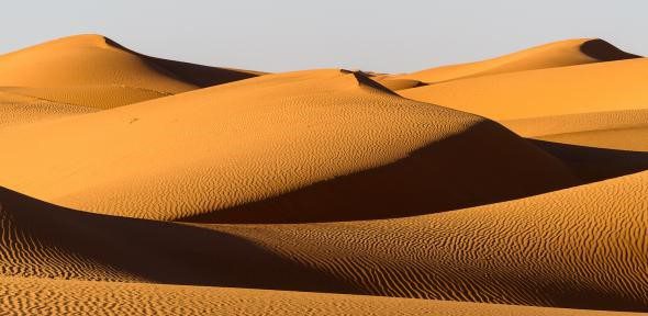 Sand Dunes Sand Dunes