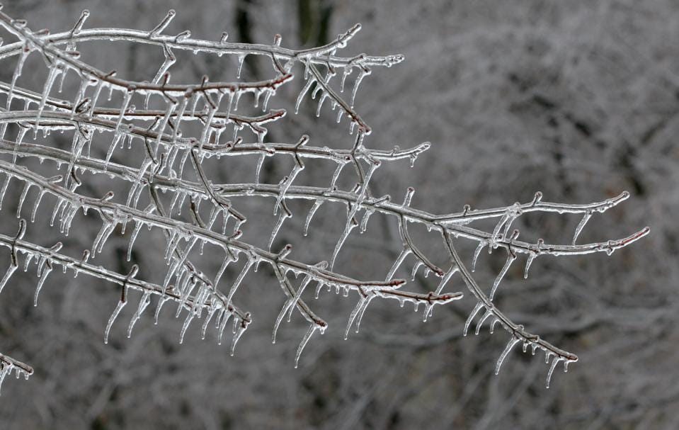 Icicles from Freezing Rain (2)