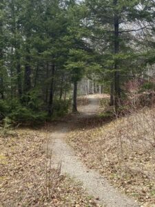 Miguasha National Park - hikes and trails