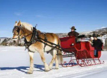 One-Horse Open Sleigh